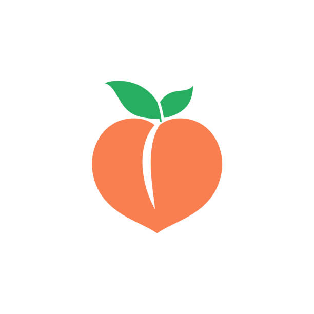 illustrations, cliparts, dessins animés et icônes de icône de pêche. fruits d'orange. logo vectoriel. - pêche