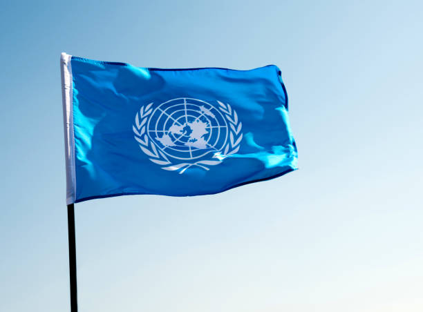 United Nations flag waving in the wind stock photo