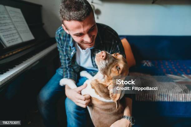 Joven Pianista Adulto Jugando Con Su Perro En Casa Foto de stock y más banco de imágenes de Perro - Perro, Vida doméstica, 20 a 29 años