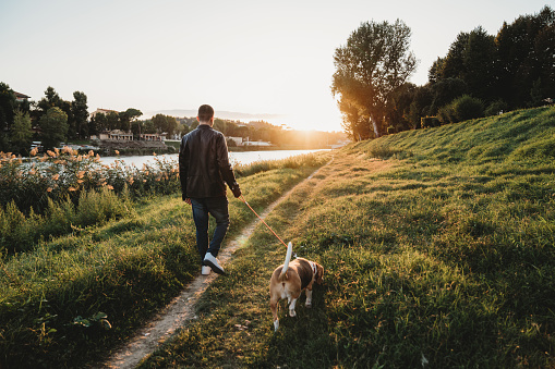 Young adult man walking with his dog near a river in the city