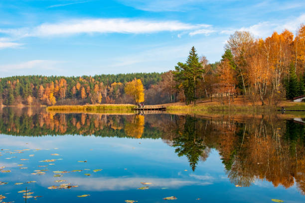 istock Beautiful autumn landscape, with lake and forest 1182703341