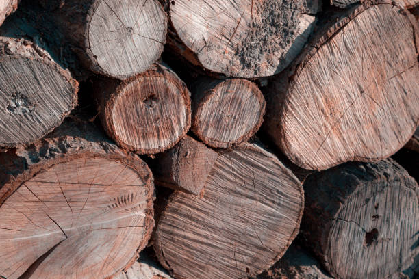 istock Stack of sawn logs. Natural wooden decor background. 1182703377