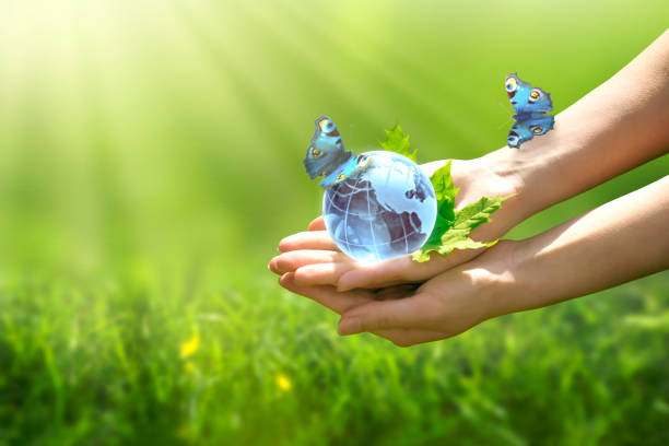 Earth crystal glass globe ball in human hand, flying peacock eye butterfly with blue wings, grass background. Saving environment, save clean green planet, ecology concept. Card for World Earth Day. globo de cristal de la tierra en la mano de la mujer humana, mariposa del ojo del pavo real volador, fondo de hierba. salvar el medio ambiente, salvar el planeta verde limpio, el concepto de ecología. tarjeta para el día mundial de la tierra.