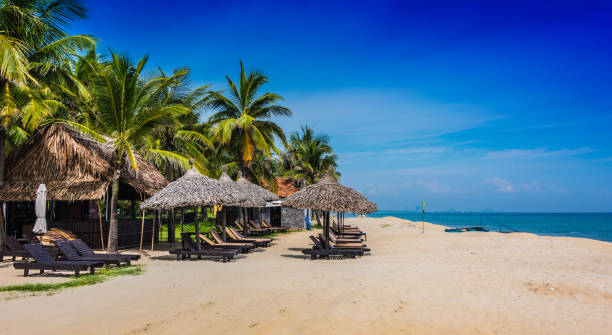 Cua Dai, sandy sea beach near Hoi An in Vietnam Cua Dai, sandy sea beach near Hoi An in Quang Nam Province, Vietnam hoi an stock pictures, royalty-free photos & images