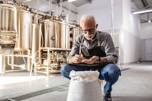 starsi mężczyźni w browarze rzemieślniczym - brewery beer barley cereal plant zdjęcia i obrazy z banku zdjęć