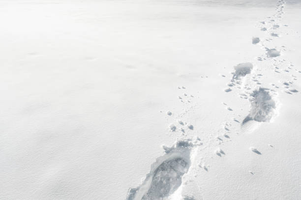 schnee-fußabdrücke. winterwetterkonzept. winterwanderszene - winter cold footpath footprint stock-fotos und bilder