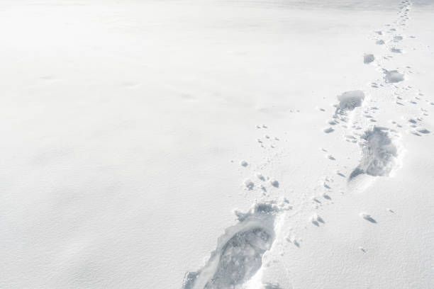 empreintes de neige. concept de temps d'hiver. scène d'errance d'hiver - winter cold footpath footprint photos et images de collection