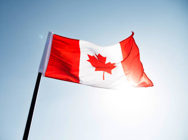 istock Canadian flag waving  against clear blue sky 1182707802