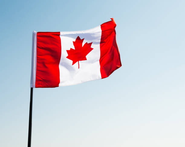 istock Canadian flag waving  against clear blue sky 1182707953