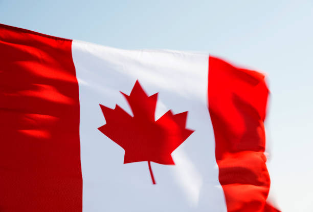 istock Canadian flag waving in the wind 1182708153