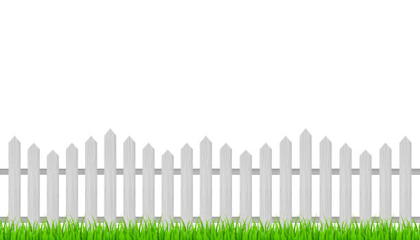istock Wooden fence and grass. Vector stock illustration. 1182710928