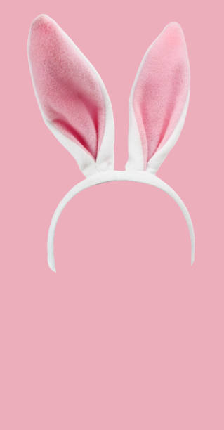 oreilles roses de lapin - oreilles de lapin photos et images de collection