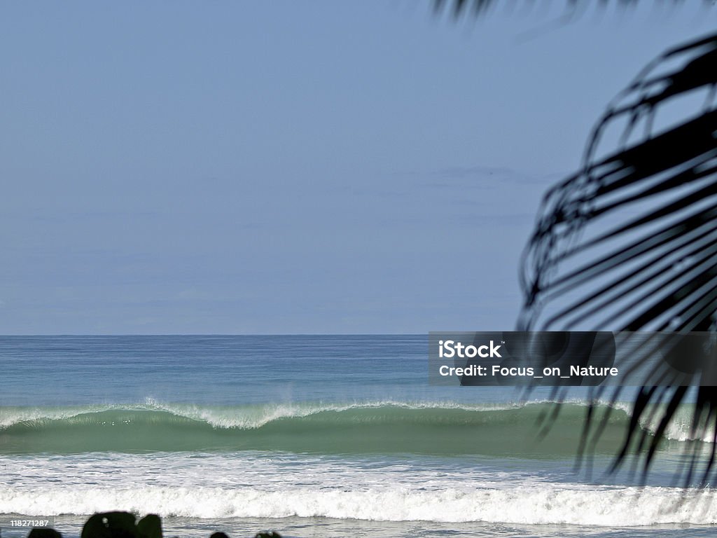 Wave breaking  Beach Stock Photo