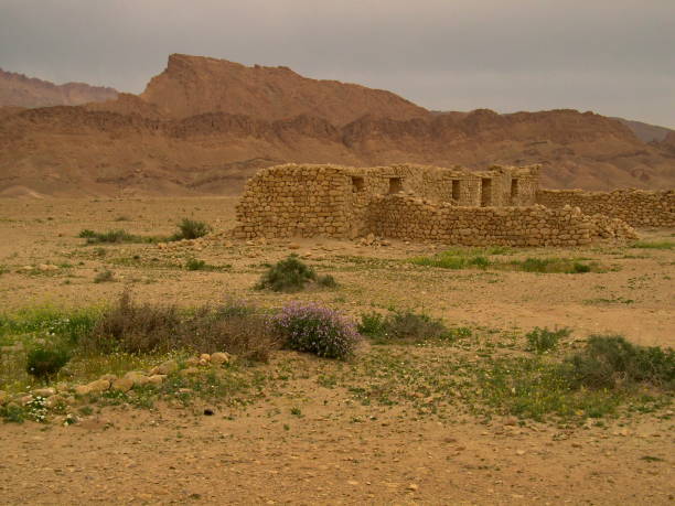 istock Ruin in the Sahara desert 1182715683
