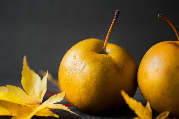 Asian pears stock photo