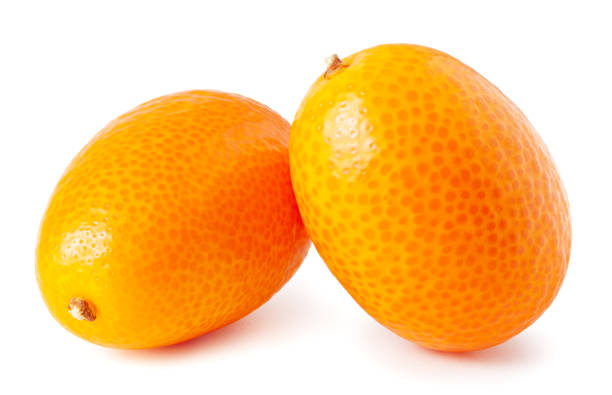 istock Kumquat isolated on white 1182722267