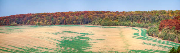 istock Panorama of an agricultural field 1182723497