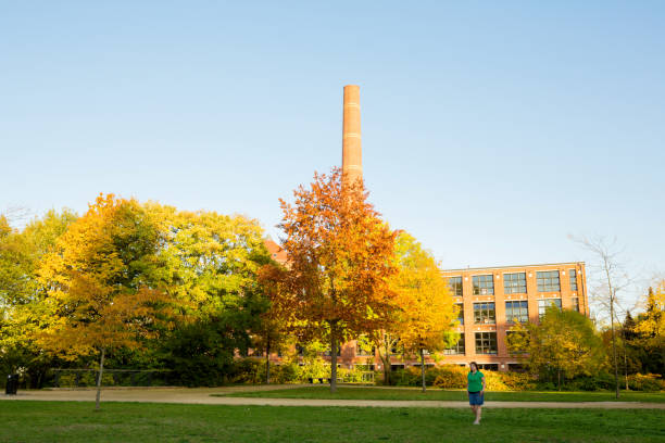 A series of industrial chimneys emitting smoke are positioned on a hill above a colorful autumn forest. The image highlights the juxtaposition of industrial activity and natural beauty under a clear blue sky.