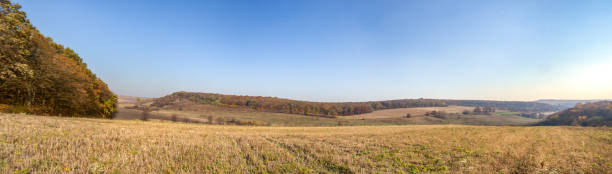 istock Panorama of an agricultural field 1182724765
