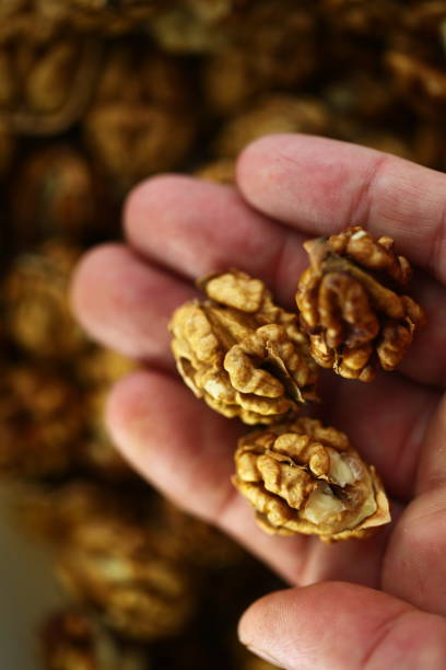 istock peeled whole kernels of walnuts harvest 1182724834