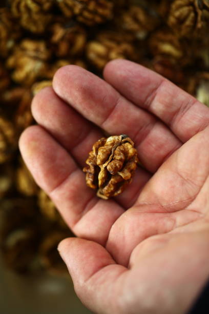 istock peeled whole kernels of walnuts harvest 1182724837