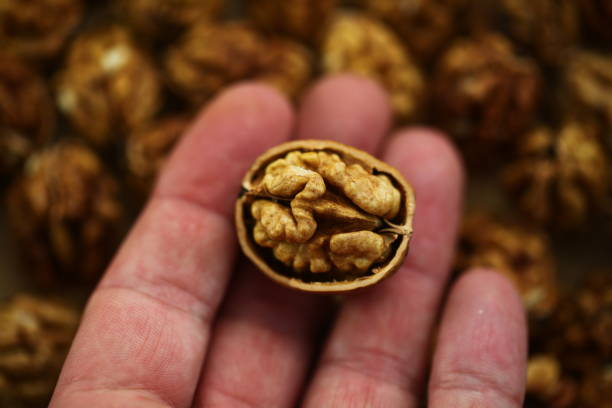 istock peeled whole kernels of walnuts harvest 1182724982