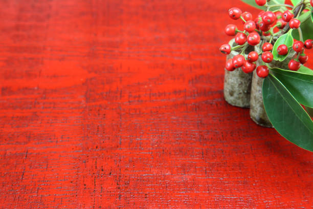 Pictured Round Leaf Holly in a wooden background.