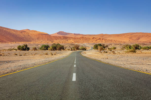 istock Middle of Desert Road Namibia Sossusvlei Sesriem 1182725329