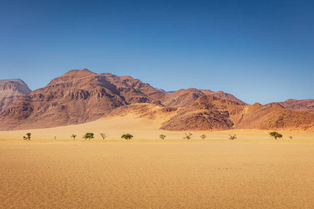 砂漠風景ナミブラン自然保護区ナミビア - 698 ストックフォトと画像