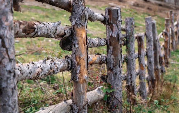 istock Wooden fence with green grass 1182730736