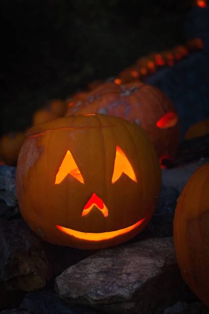 istock Illuminated Jack-O-Lantern family visiting the Black Forest 1182730930