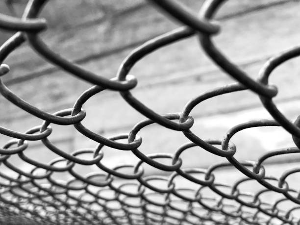 istock The wire fence 1182731753