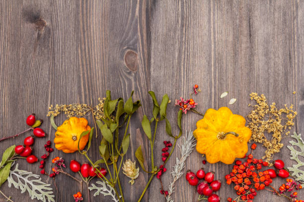 istock Halloween concept background. Witch bowler, mistletoe, elderberry. Dry herbs, flowers, fresh berries. Mortar and pestle, seeds, old wooden boards. 1182736657