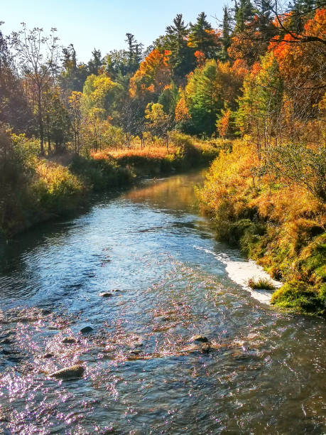 humber river, boyd conservation park de woodbridge en autumn, ontario, canadá - arrowhead fotografías e imágenes de stock