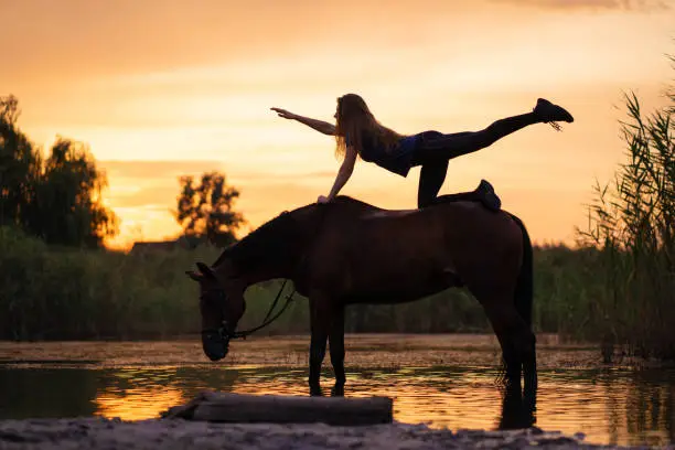 Silhouetted a slender girl practicing yoga on horseback, at sunset the horse stands in the lake. Care and walk with the horse. Strength and Beauty.