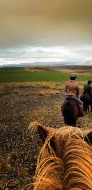 istock Iceland: Three Horseback Riders in a Row at Dusk 1182742406
