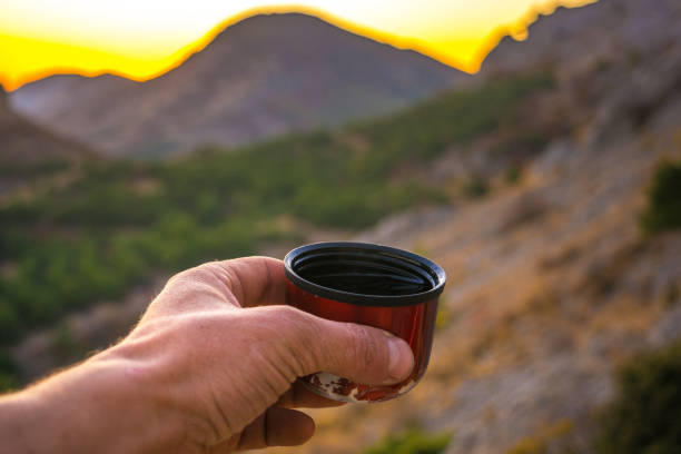 istock Picnic in the mountains 1182743014