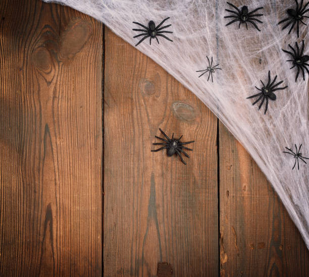 istock white spider web with black spiders on a wooden background from old boards 1182746467