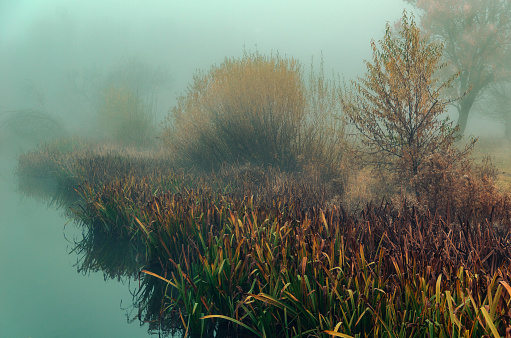 Autumn landscape, quiet foggy morning by the river, serene calm