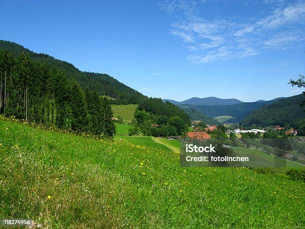 Schwarzwald Stockfoto und mehr Bilder von Agrarbetrieb - Agrarbetrieb, Bauernhaus, Bauwerk