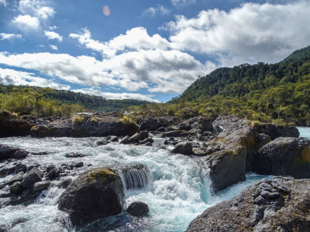 petrohue tombe dans le sud du chili - chilean culture chile forest the americas photos et images de collection