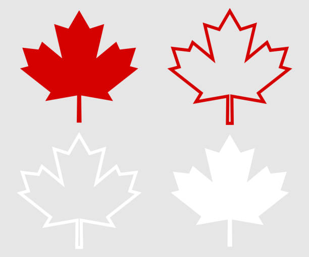 ÐÑÐ½Ð¾Ð²Ð½ÑÐµ RGB Set of Canada leaf. Red maple leaf maple tree stock illustrations