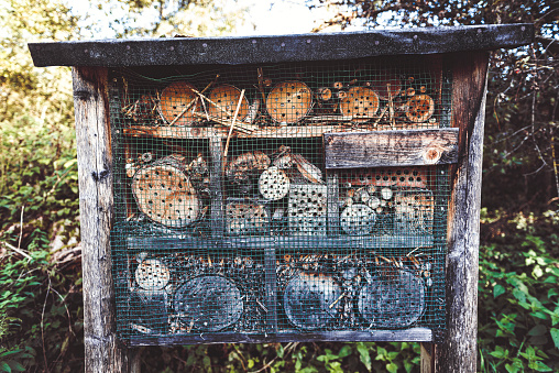 Insect Hotel at Osterseen in Iffeldorf, Upper Bavaria, Germany