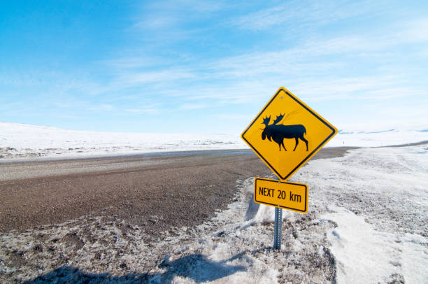 カナダ北極のムースクロッシングサイン - moose crossing sign ストックフォトと画像
