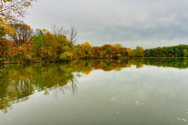 istock Shoreline autumn color trees reflection in water 1182756419