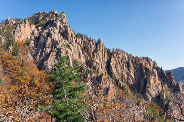 istock Autumn Seoraksan National Park 1182759582