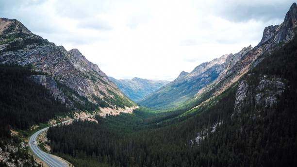 istock Entering Olympic National Park 1182761037