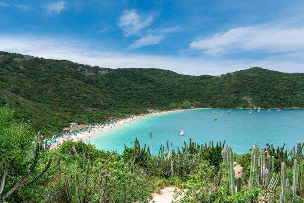 Famous Praia do Forno with turquoise water in Arraial do Cabo Famous Praia do Forno with turquoise water in Arraial do Cabo, Rio de Janeiro, Brazil pontal do atalia stock pictures, royalty-free photos & images