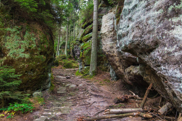 istock Footpath between rocks in forest - Adrspach-Teplice Rocks (nature reserve in Broumov Highlands region of Czech Republic) 1182764761
