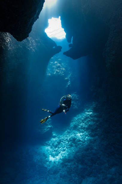 дайвер внутри голубых отверстий в палау, микронезия - scuba diving animal water one person стоковые фото и изображения